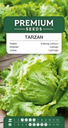 Lettuce Iceberg Tarzan Seed